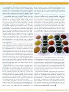 freshcupteagschwendner23