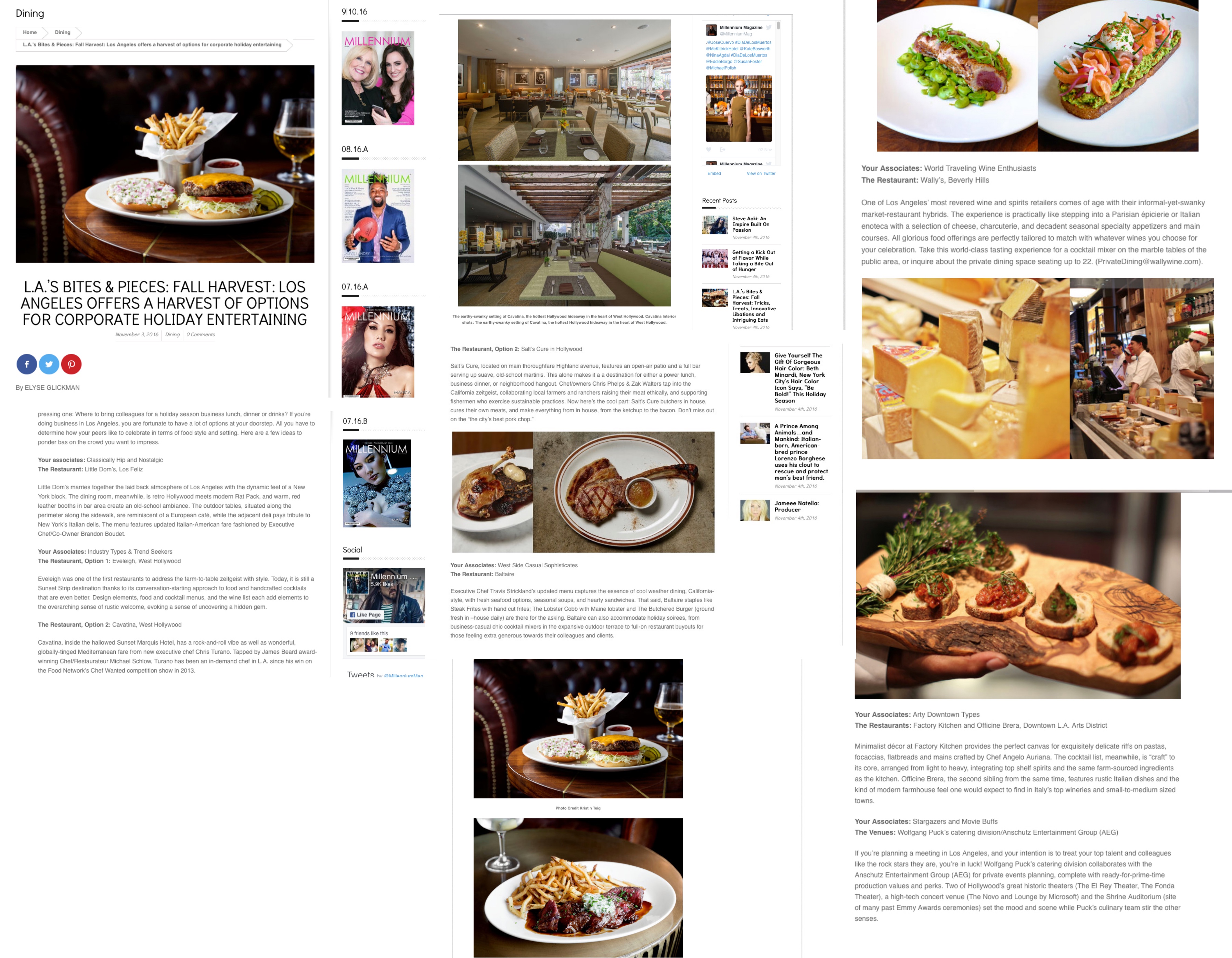 millenniumfallfoodweb