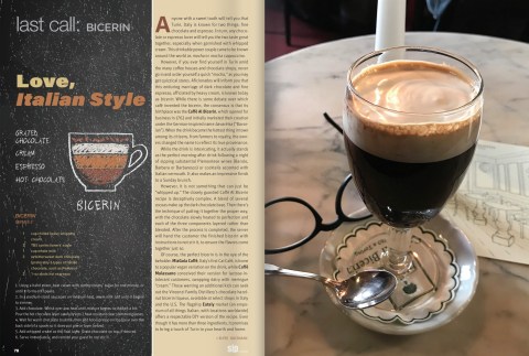 BicerinBackCover